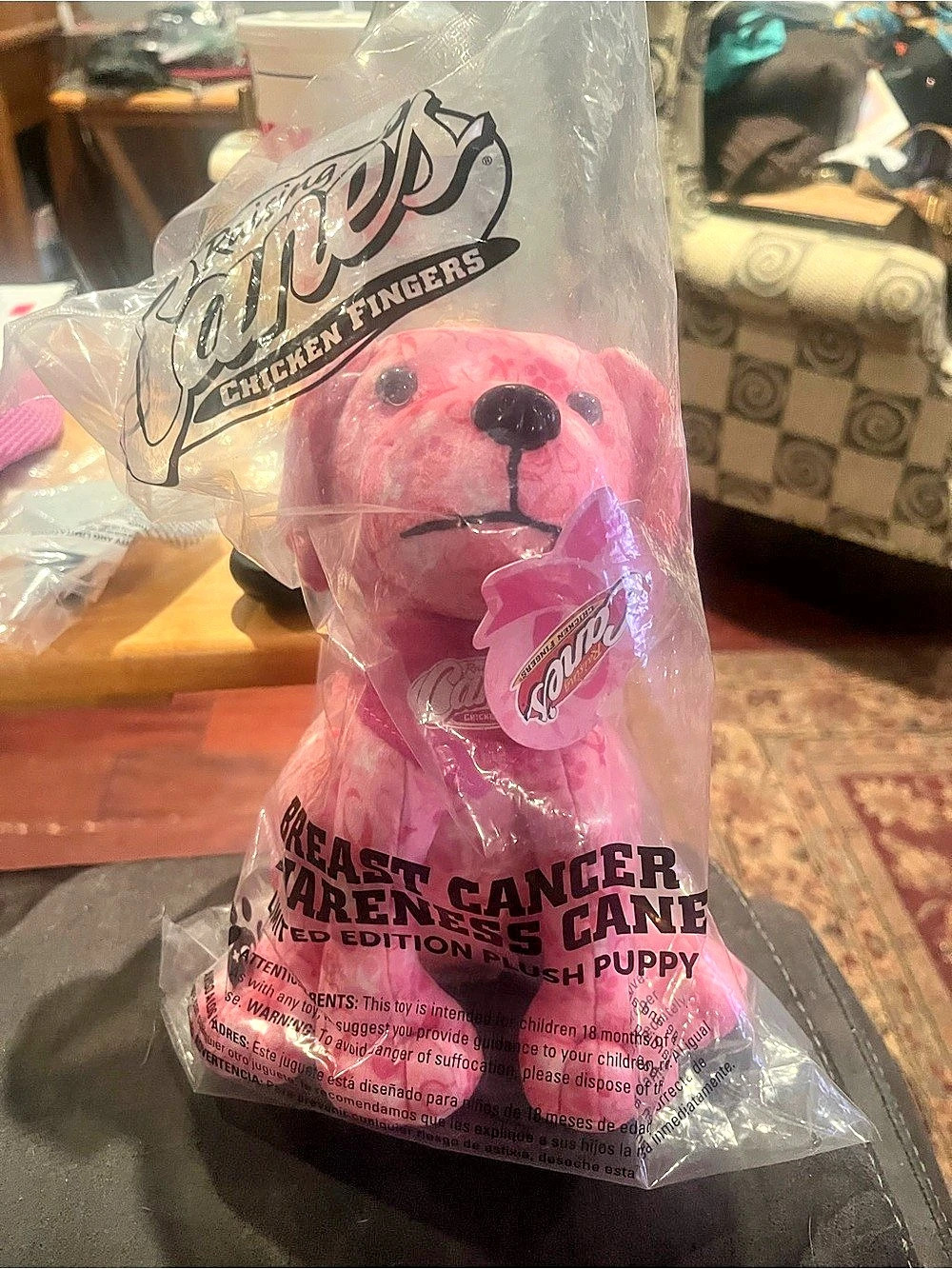 Canes Pink Cancer Awareness Bear NWT